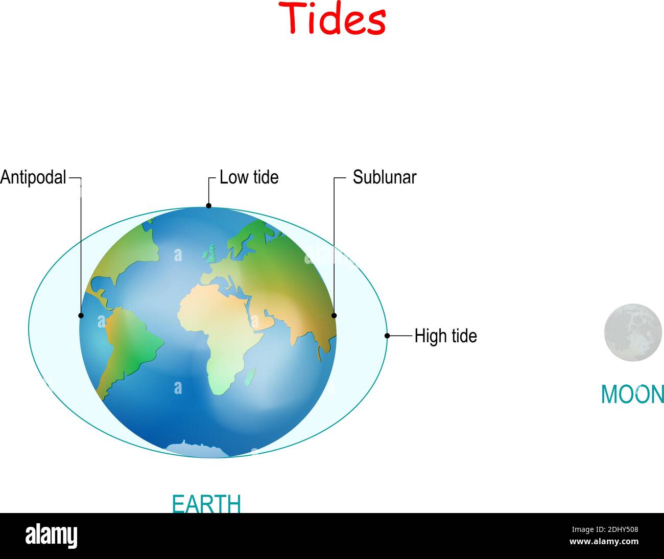 Tides depend where the sun and moon are relative to the Earth. Gravity and inertia creating tidal bulges on opposite sides of the planet. High and low Stock Vector