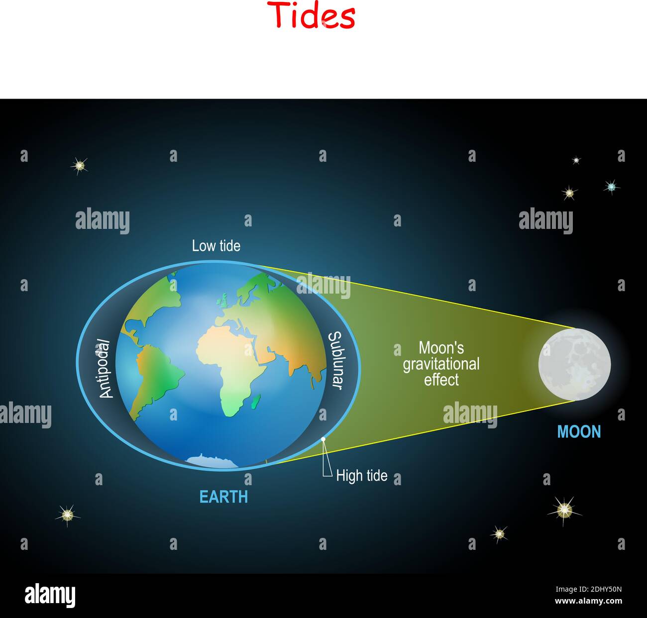 tides diagram. Low and high lunar tides. Effect of Moon gravitational force on seacoast water level. vector illustration Stock Vector