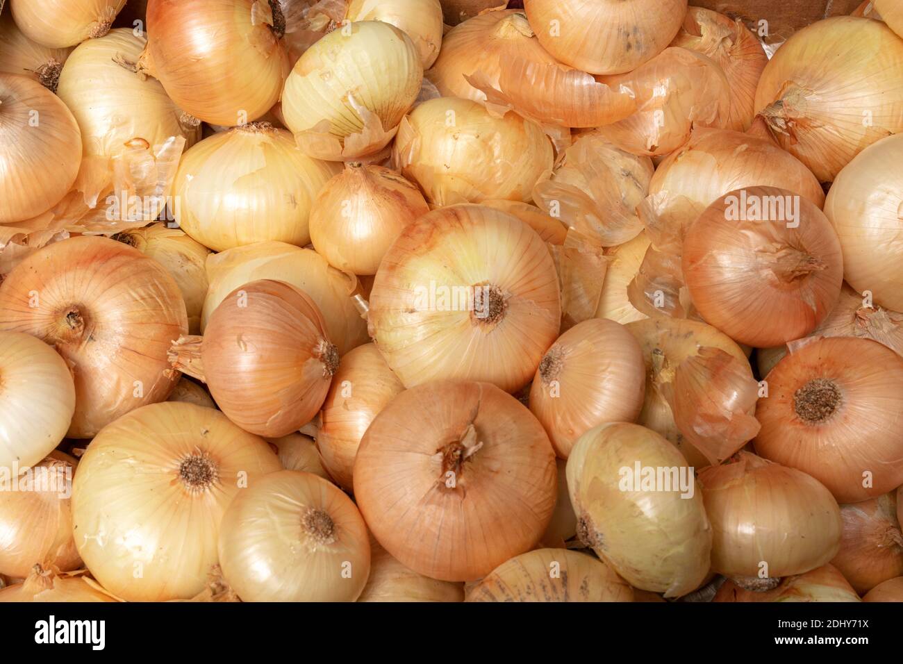 Pile of white onion seen from above Stock Photo - Alamy