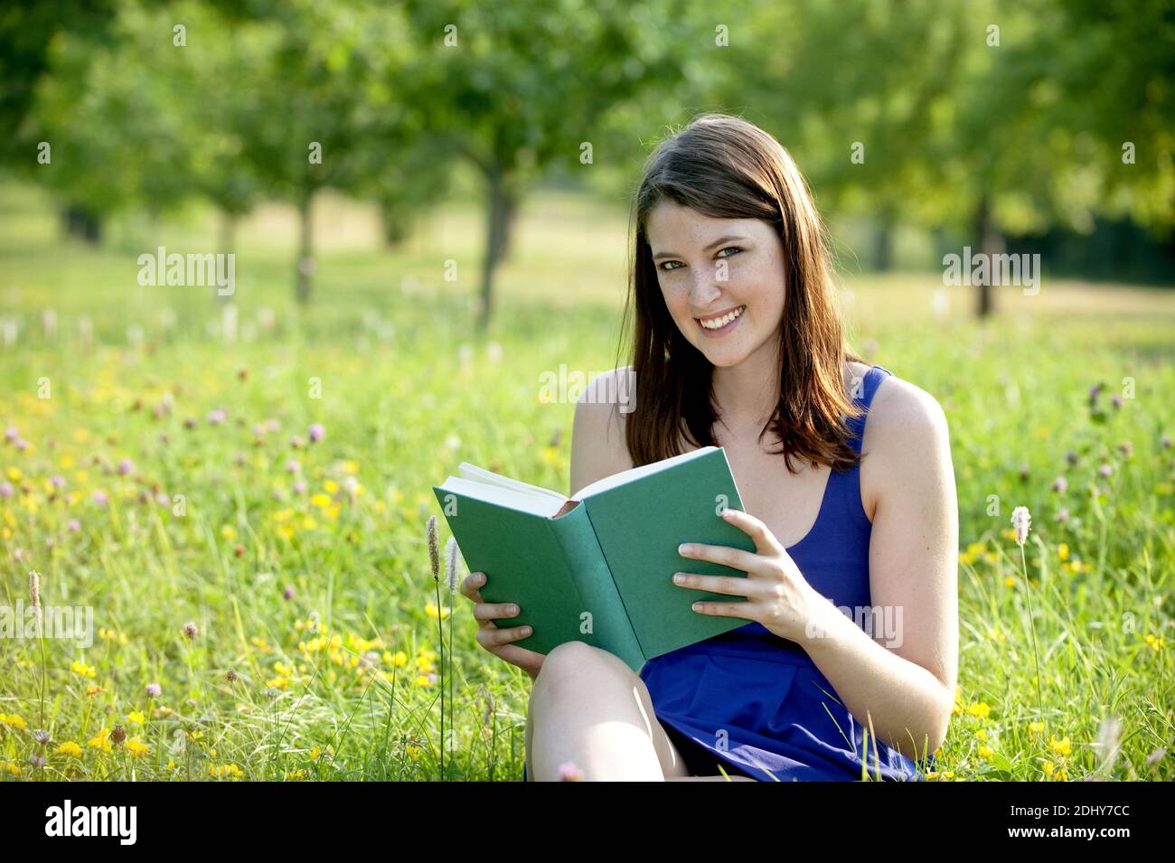 Junge Frau liest ein Buch in Wiesenlandschaft Stock Photo