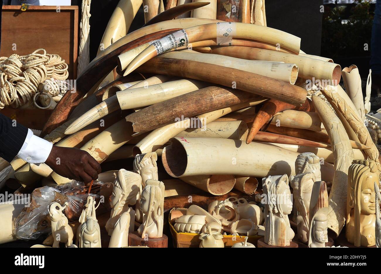 Ivory crush hi-res stock photography and images - Alamy