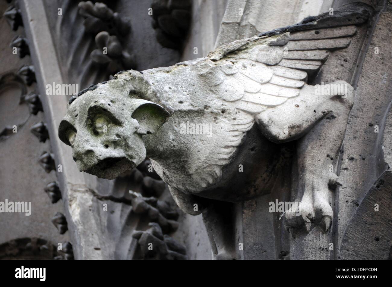 illustration of Gargoyle (Gargouille) at the church and cathedral in ...