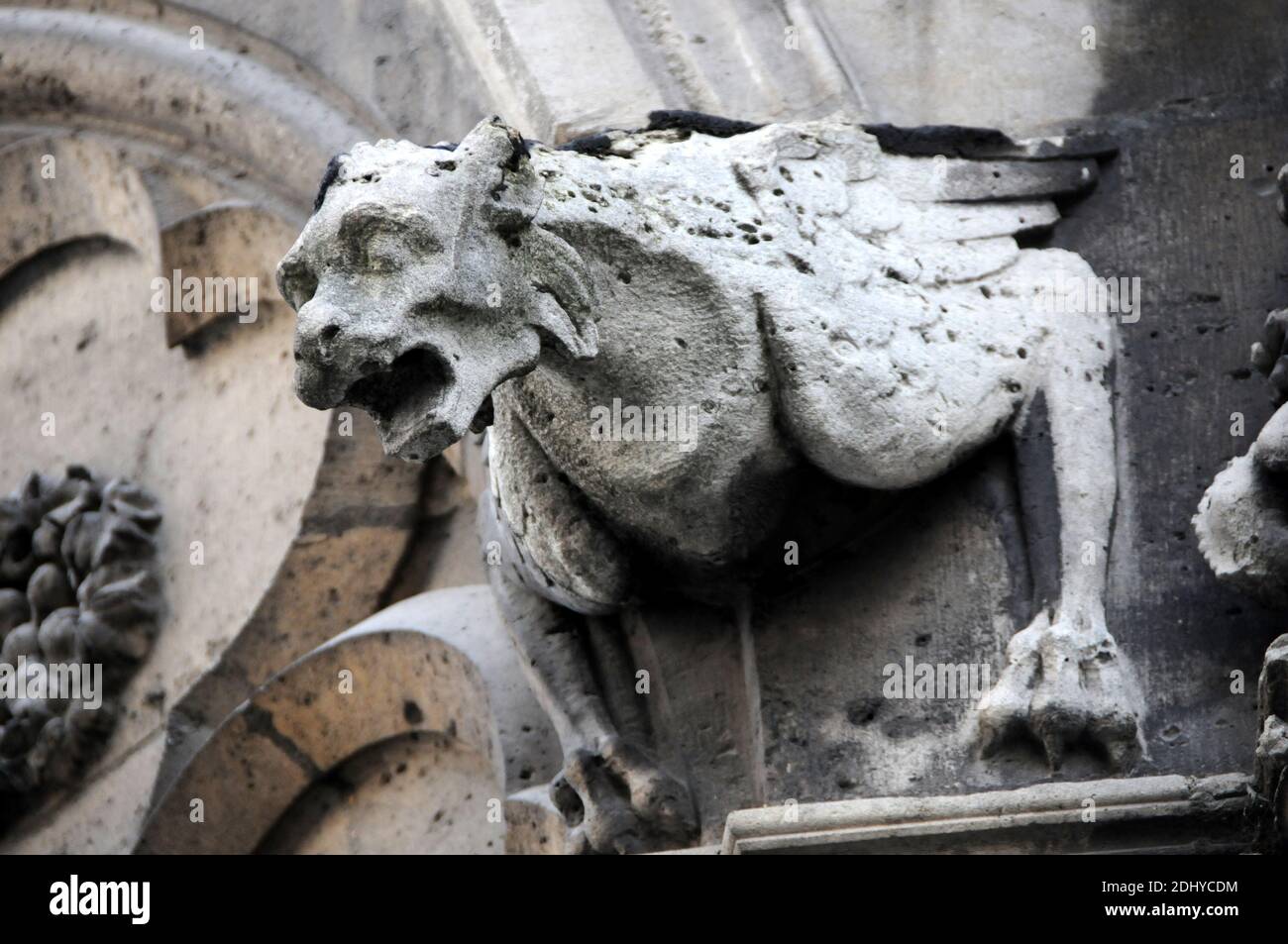 illustration of Gargoyle (Gargouille) at the church and cathedral in