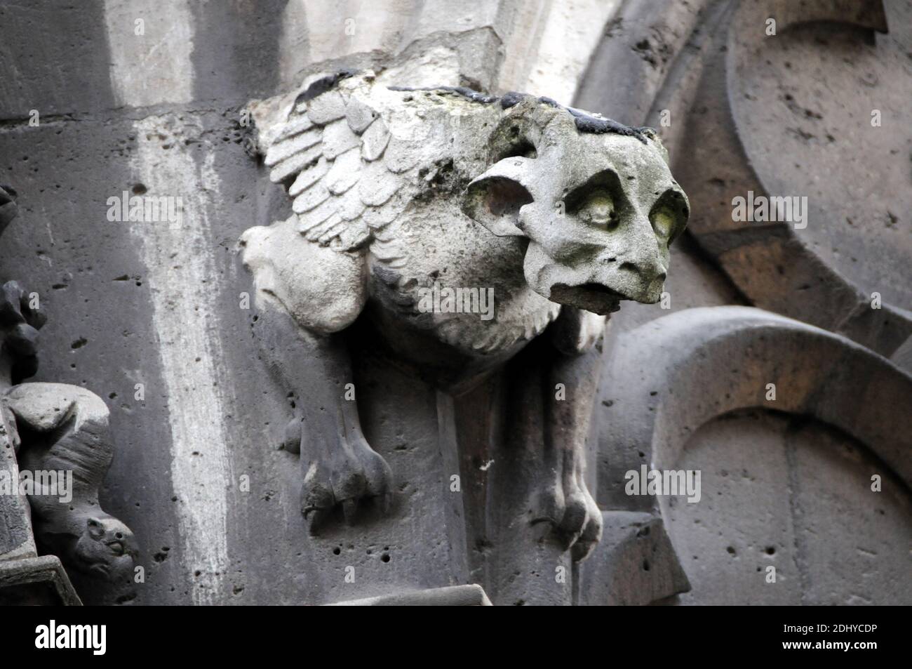 Medieval gargoyle illustration hi-res stock photography and images - Alamy