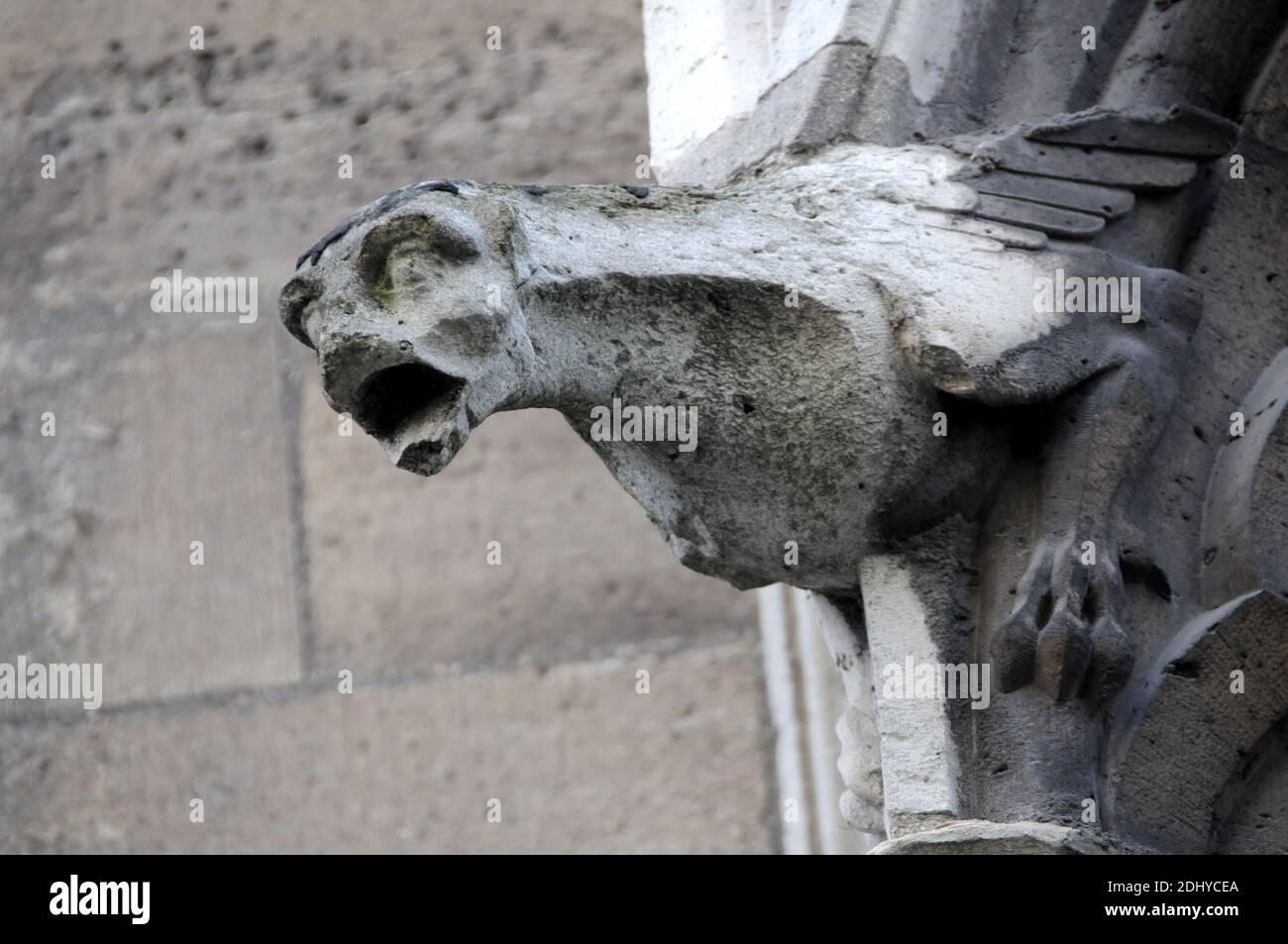 illustration of Gargoyle (Gargouille) at the church and cathedral in