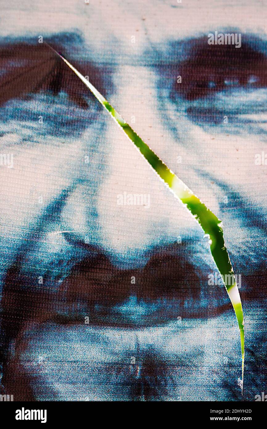 Iranian presidential election Stock Photo Alamy