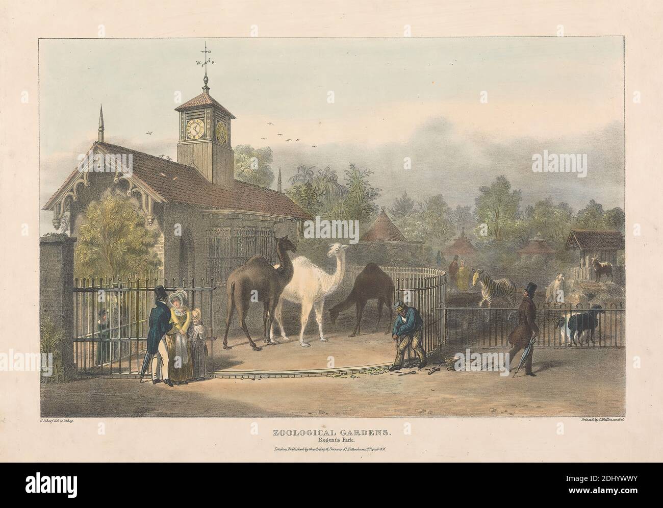 Zoological Gardens, Regent's Park, George Johann Scharf, 1788–1860,  British, after George Johann Scharf, 1788–1860, British, 1835, Hand colored  lithograph Stock Photo - Alamy