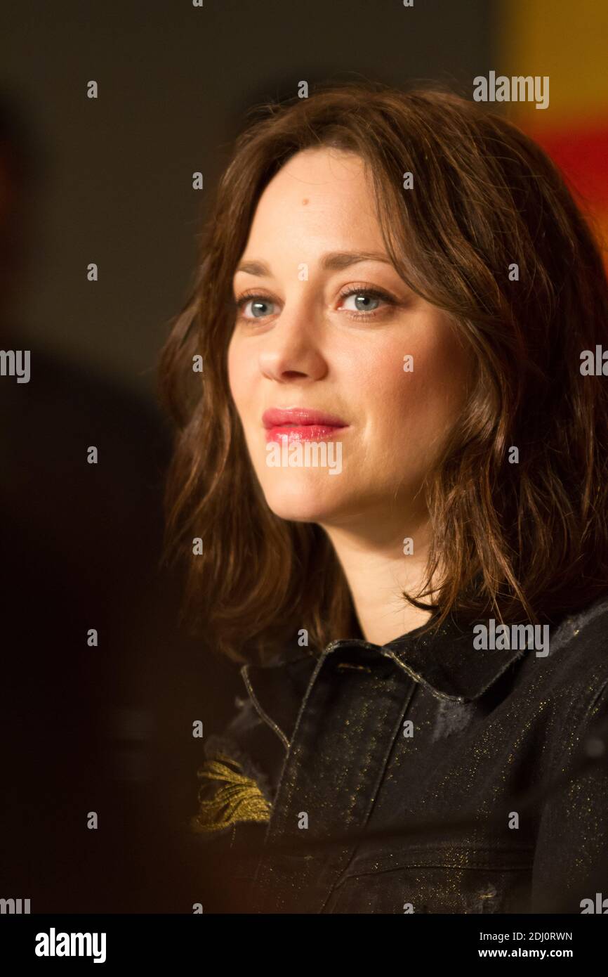 Marion Cottillard attends 'Mal de Pierres' - 'From The Land And The Moon' press conference during the 69th annual Cannes Film Festival at the Palais des Festivals on May 15, 2016 in Cannes, France. Photo by ABACAPRESS.COM Stock Photo
