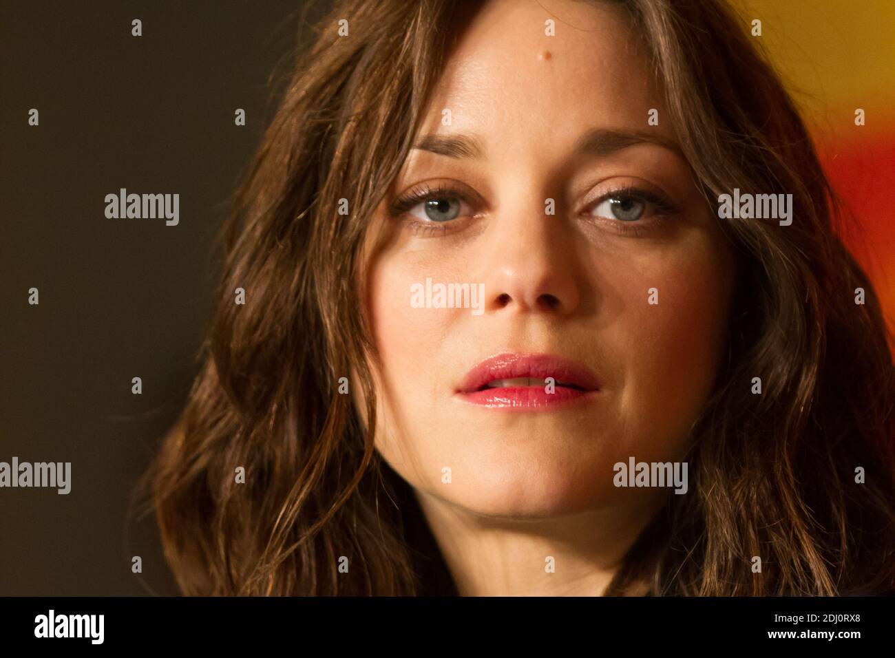 Marion Cottillard attends 'Mal de Pierres' - 'From The Land And The Moon' press conference during the 69th annual Cannes Film Festival at the Palais des Festivals on May 15, 2016 in Cannes, France. Photo by ABACAPRESS.COM Stock Photo