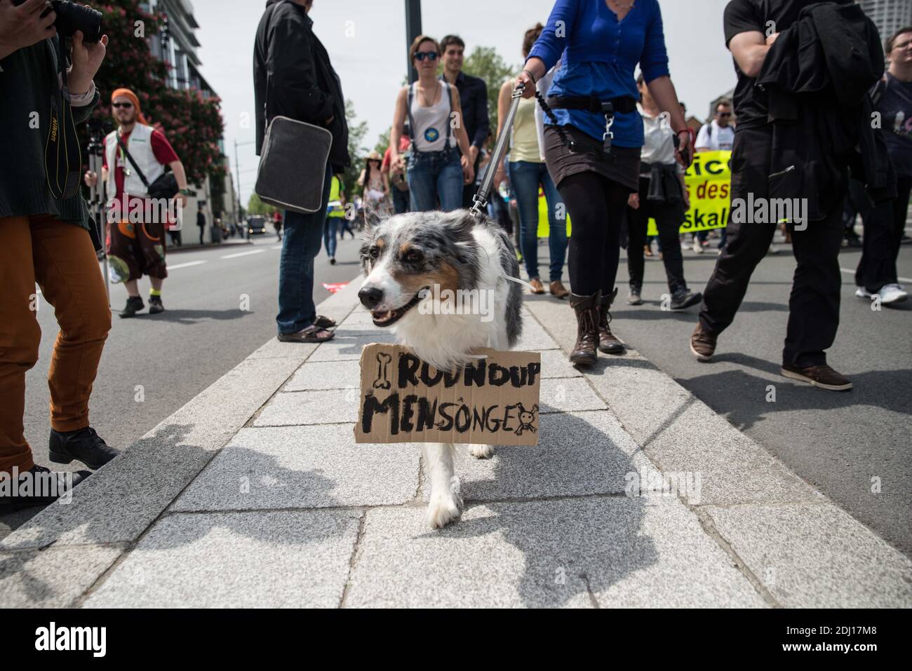 People demonstrate against American multinational agrochemical and agricultural biotechnology corporation Monsanto in an effort to promote global awareness over the issue of genetically modified organisms (GMOs) and cancer-linked herbicides in the food supply, innParis, France on May 21, 2016. Photo by Kevin Niglaut/ABACAPRESS.COM Stock Photo