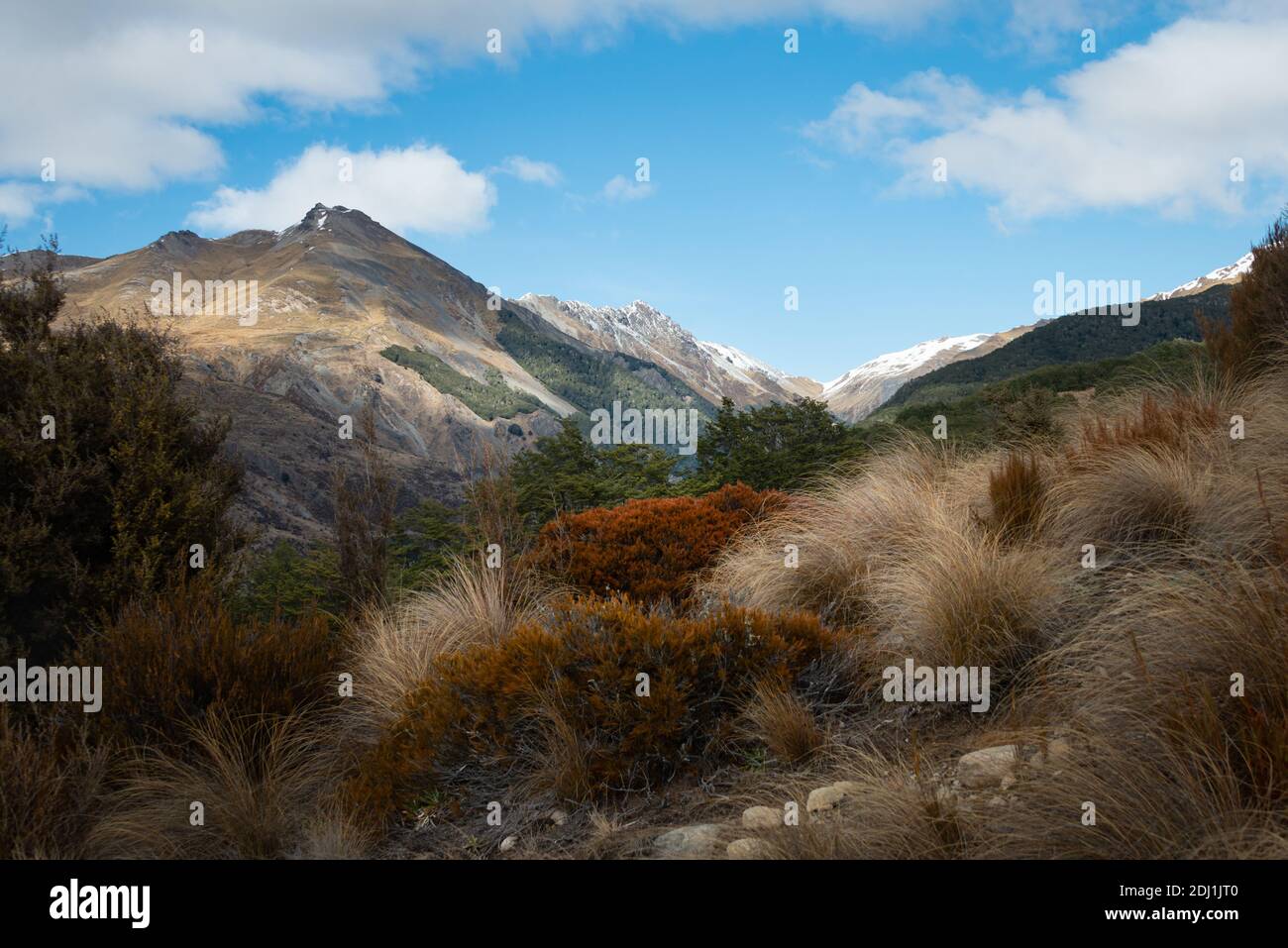 Beautiful view of Bealey Spur Track among tussock grassland in Arthurs Pass National Park, New Zealand Stock Photo