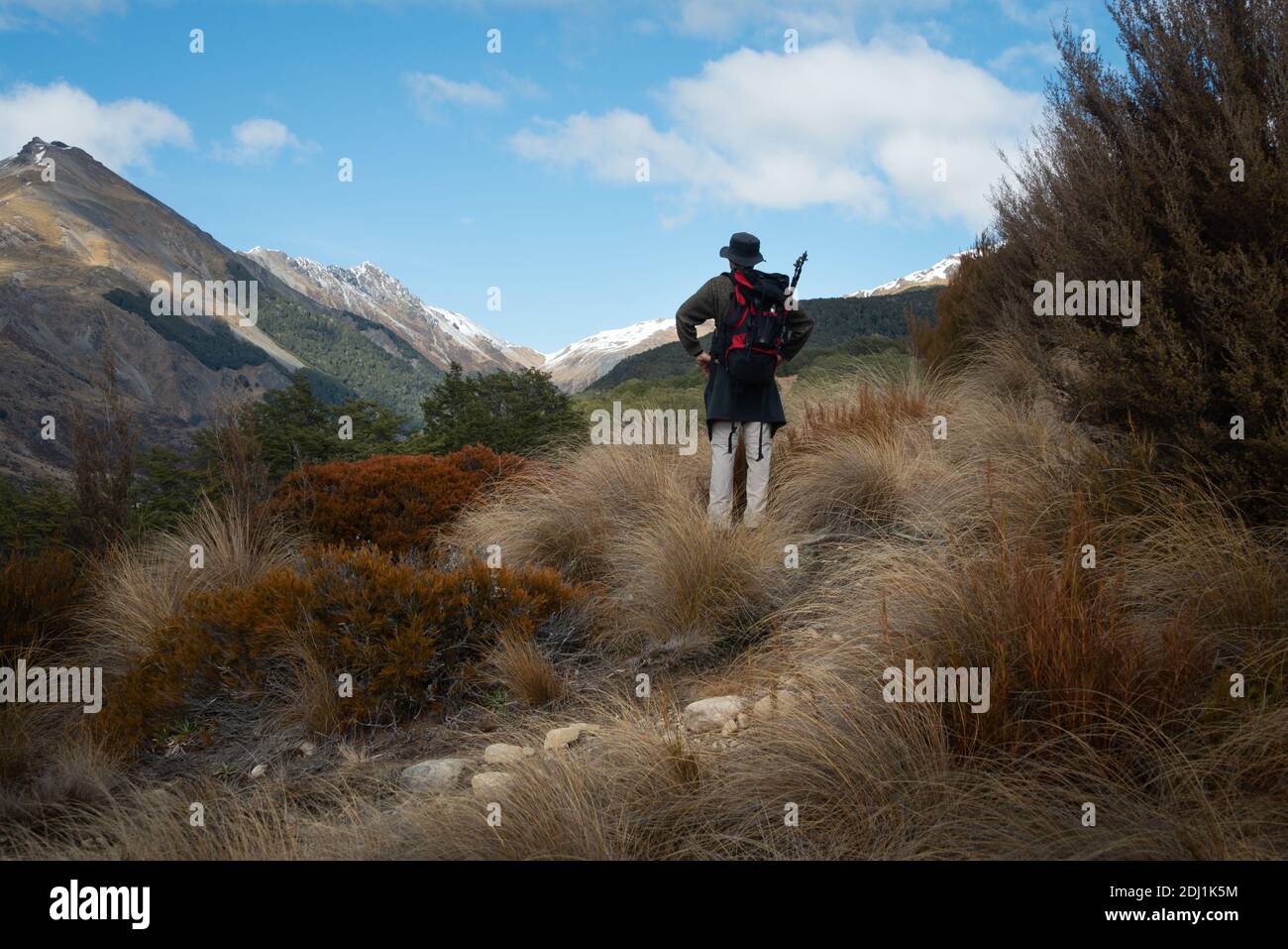 Tramping Bealey Spur Track among tussock grassland in Arthurs Pass National Park, New Zealand Stock Photo
