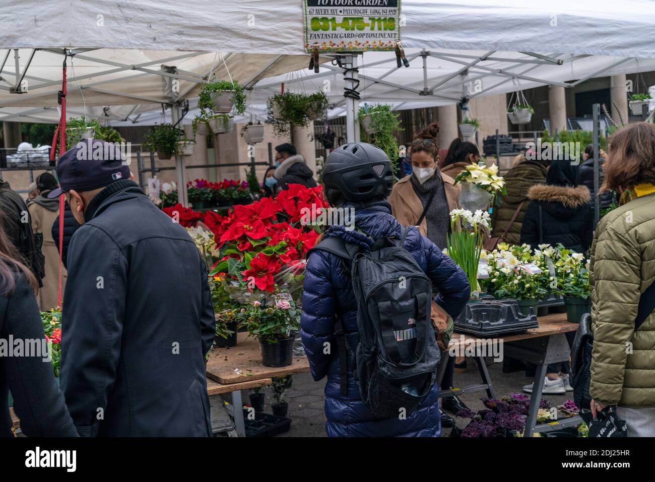 New York, NY - December 12, 2020: People shopping during Holiday season at Union Square farmers market Stock Photo