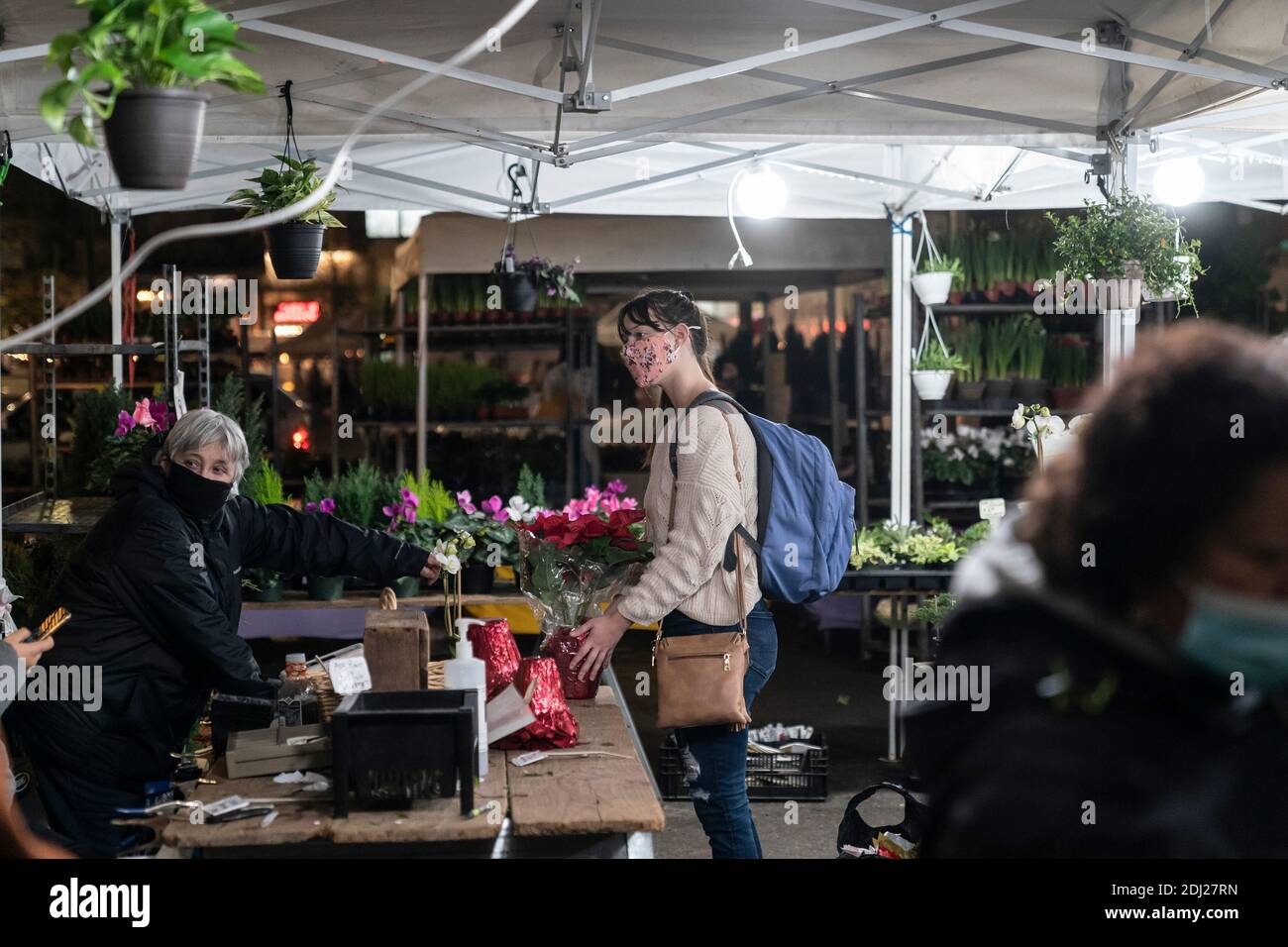 New York, United States. 12th Dec, 2020. A woman buys poinsettia during Holiday season at Union Square farmers market in New York on December 12, 2020. (Photo by Lev Radin/Sipa USA) Credit: Sipa USA/Alamy Live News Stock Photo