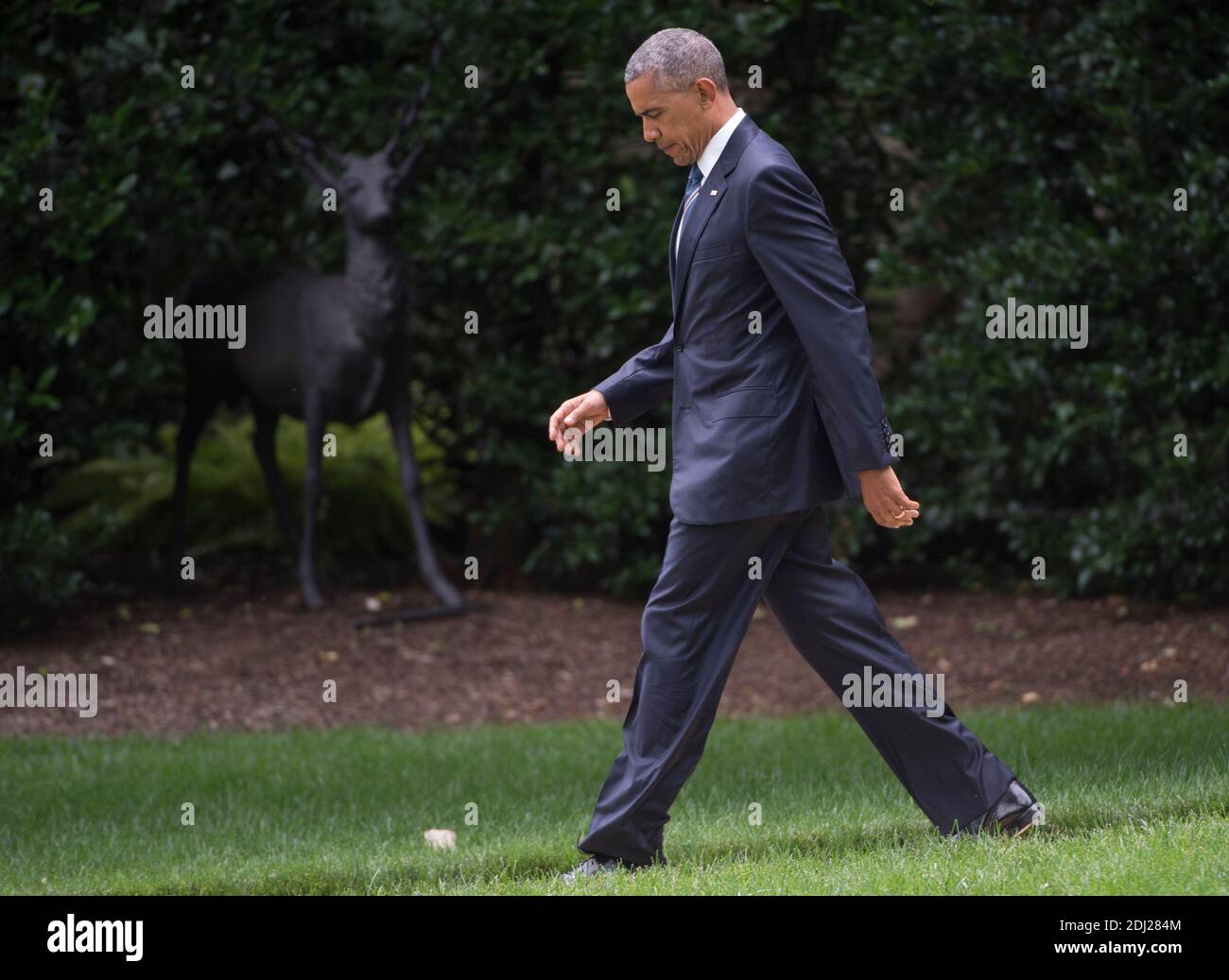 U.S. President Barack Obama walks across the South Lawn as he departs the White House for San Jose, California in Washington, DC, USA, 23 June 2016. While in San Jose, Obama will attend the Global Entrepreneurship Summit with Facebook co-founder and CEO Mark Zuckerberg. Photo by Molly Ryley/Pool/ABACAPRESS.COM Stock Photo
