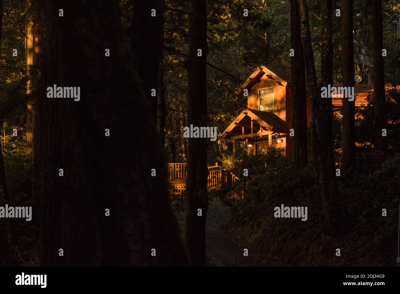 A lone cabin tucked away in the redwood forest in the Santa Cruz mountains of California. Stock Photo