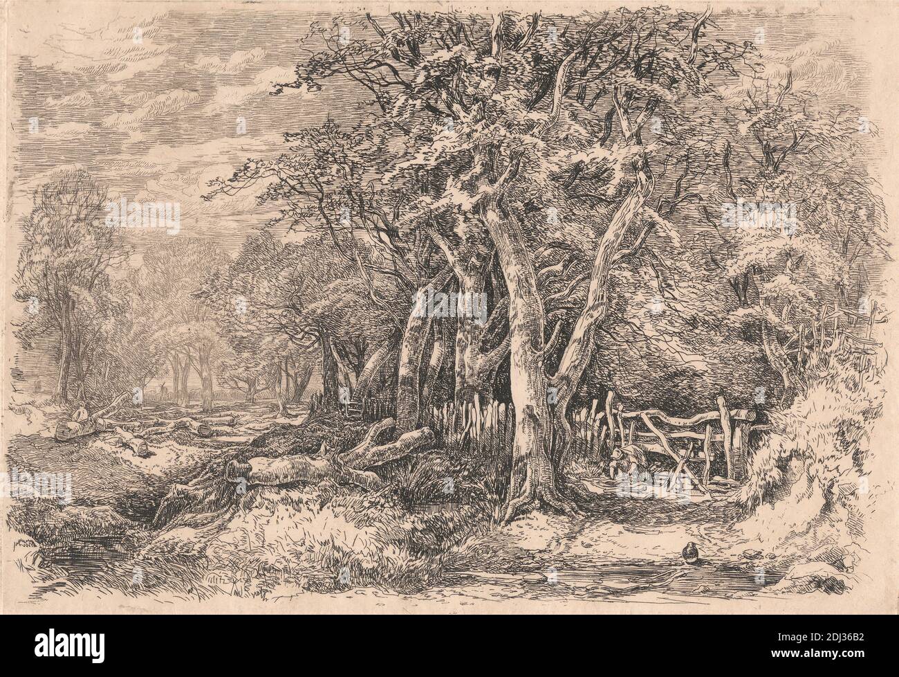Gunton Park, John Middleton, 1826–1856, British, c.1852, Etching, Sheet: 4 1/2 x 3in. (11.4 x 7.6cm Stock Photo
