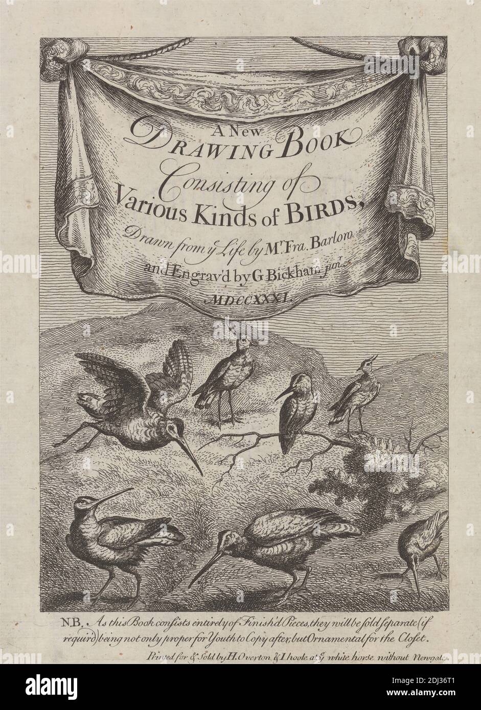 Title page for ' A New Drawing Book...of Various Kinds of Birds, Drawn from the Life by Mr. Francis Barlow' 1731 (1 of 9), Print made by George Bickham, 1683/4–1758, British, after Francis Barlow, ca. 1626–1704, British, Published by Henry Overton, 1675/6–1751, British, 1731, Etching on medium, smooth, cream laid paper, Sheet: 11 1/8 x 7 5/16 inches (28.3 x 18.6 cm), Plate: 8 3/8 x 6 3/16 inches (21.3 x 15.7 cm), and Image: 7 1/8 x 5 1/8 inches (18.1 x 13 cm), animal art, birds, drapery, hills, plants, sandpipers Stock Photo