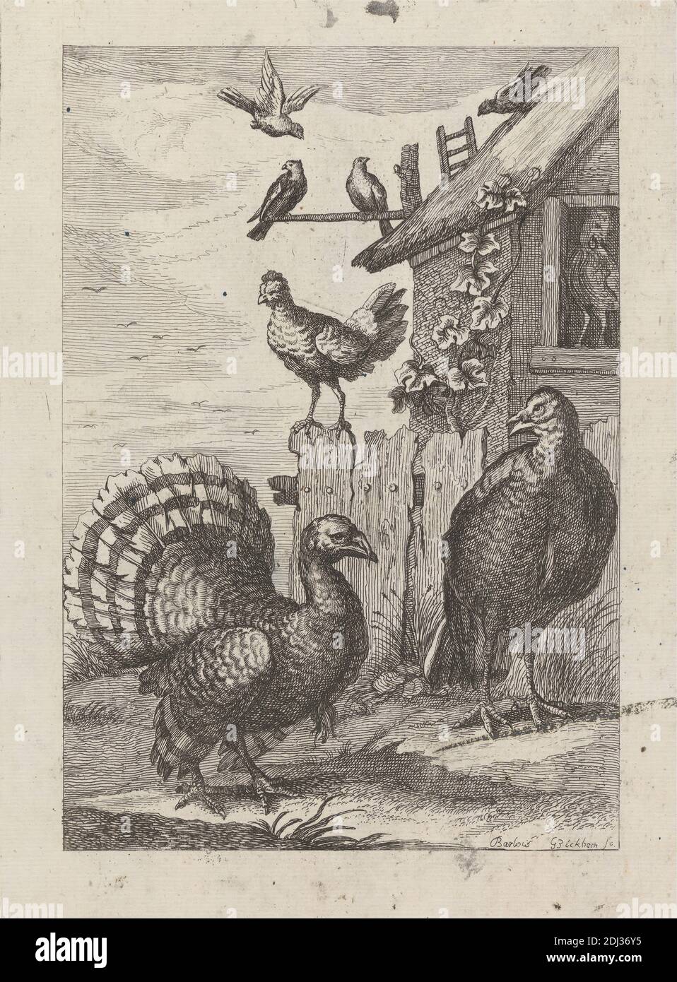 Two Turkeys, two hens and four doves a plate for 'A New Drawing Book...of Various Kinds of Birds, Drawn from the Life by Mr. Francis Barlow' 1731 (1 of 9), Print made by George Bickham, 1683/4–1758, British, after Francis Barlow, ca. 1626–1704, British, Published by Henry Overton, 1675/6–1751, British, 1731, Etching on medium, smooth, cream laid paper, Sheet: 11 5/16 x 7 5/16 inches (28.8 x 18.6 cm), Plate: 8 7/16 x 6 1/8 inches (21.4 x 15.5 cm), and Image: 7 1/4 x 5 inches (18.4 x 12.7 cm), animal art, birds, chickens, doves, farm, fences, grass, hen house, ladder, rooster, turkeys (birds Stock Photo