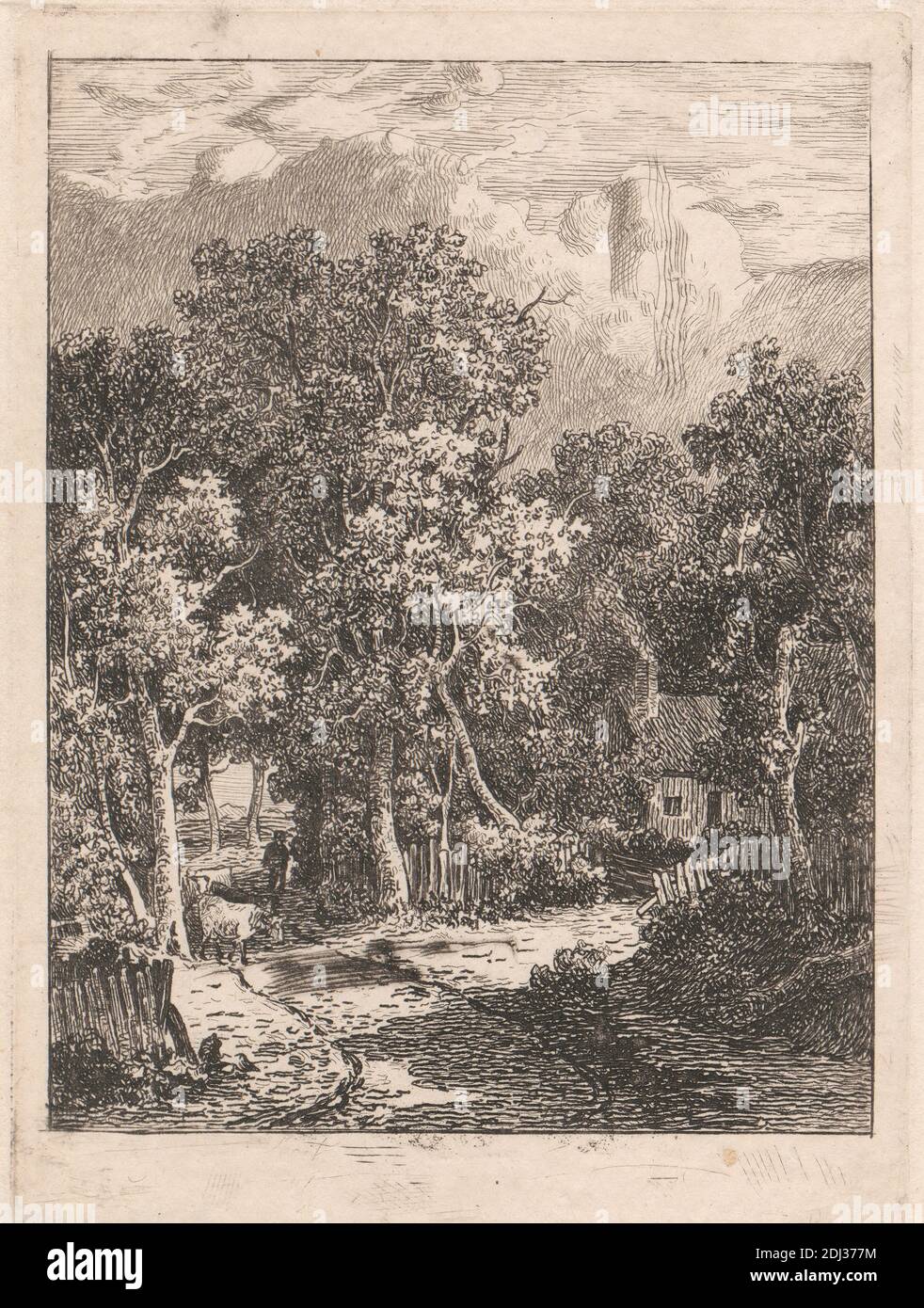 Trees and Cottage, James Stark, 1794–1859, British, c.1822, Etching, second state Stock Photo