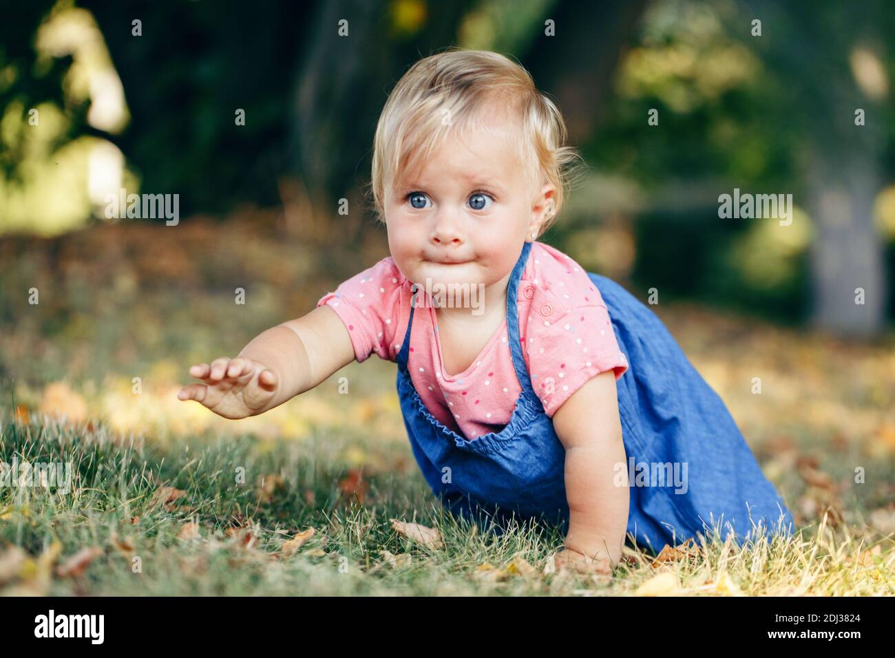 Cute baby girl crawling on ground in park outdoor. Adorable child toddler  exploring studying the world around. Healthy physical development. Funny  kid Stock Photo - Alamy