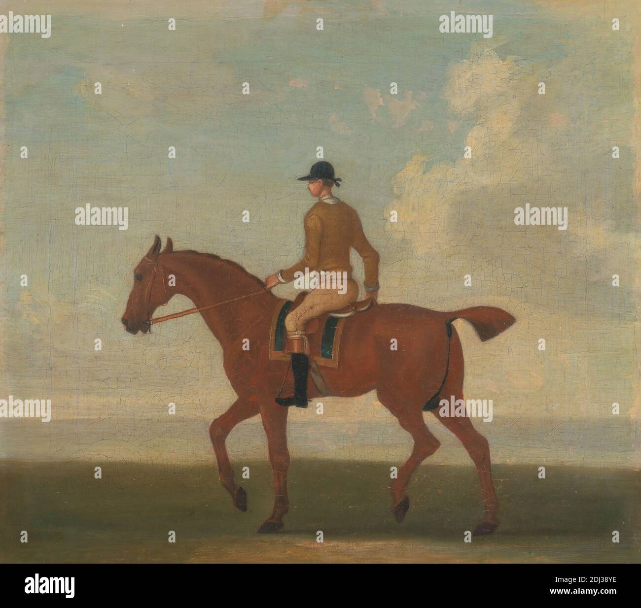 Buff yellow jacket hires stock photography and images Alamy