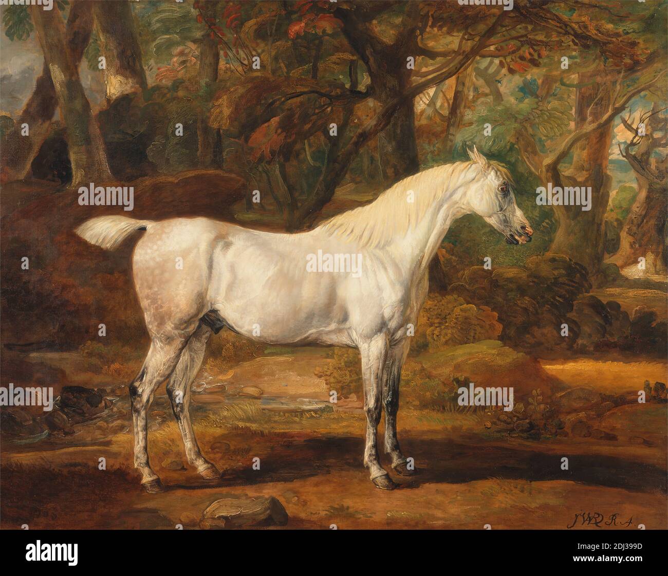 Grey Arabian stallion, the property of Sir Watkin Williams-Wynn, James  Ward, 1769–1859, British, ca.