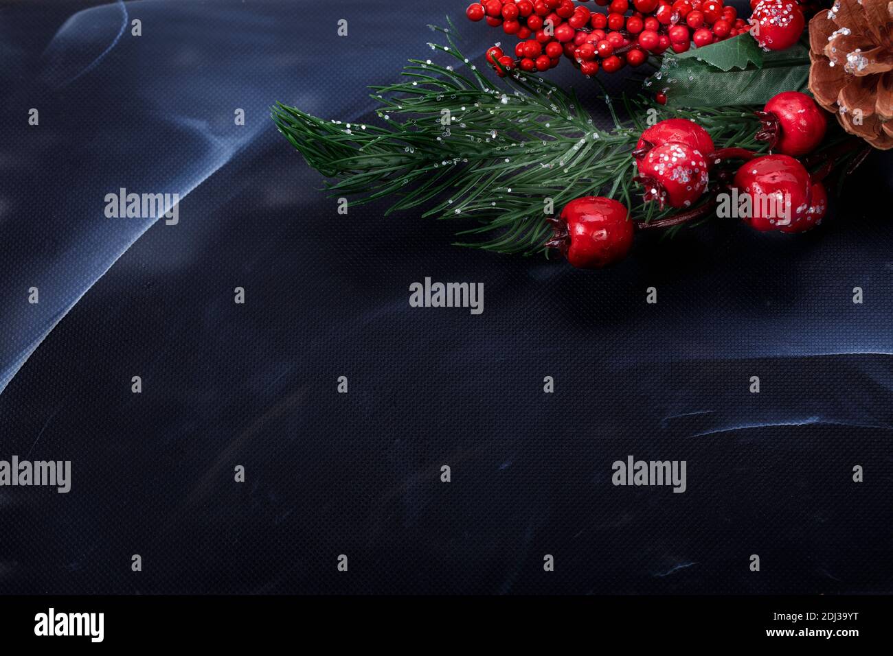 On a black background, a fir branch with red berries and a pine cone ...