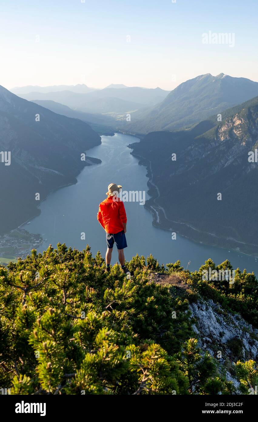 Young man looking over mountain landscape, mountain pines at the top of Baerenkopf, view of Achensee at sunset, on the left Seekarspitze and Stock Photo