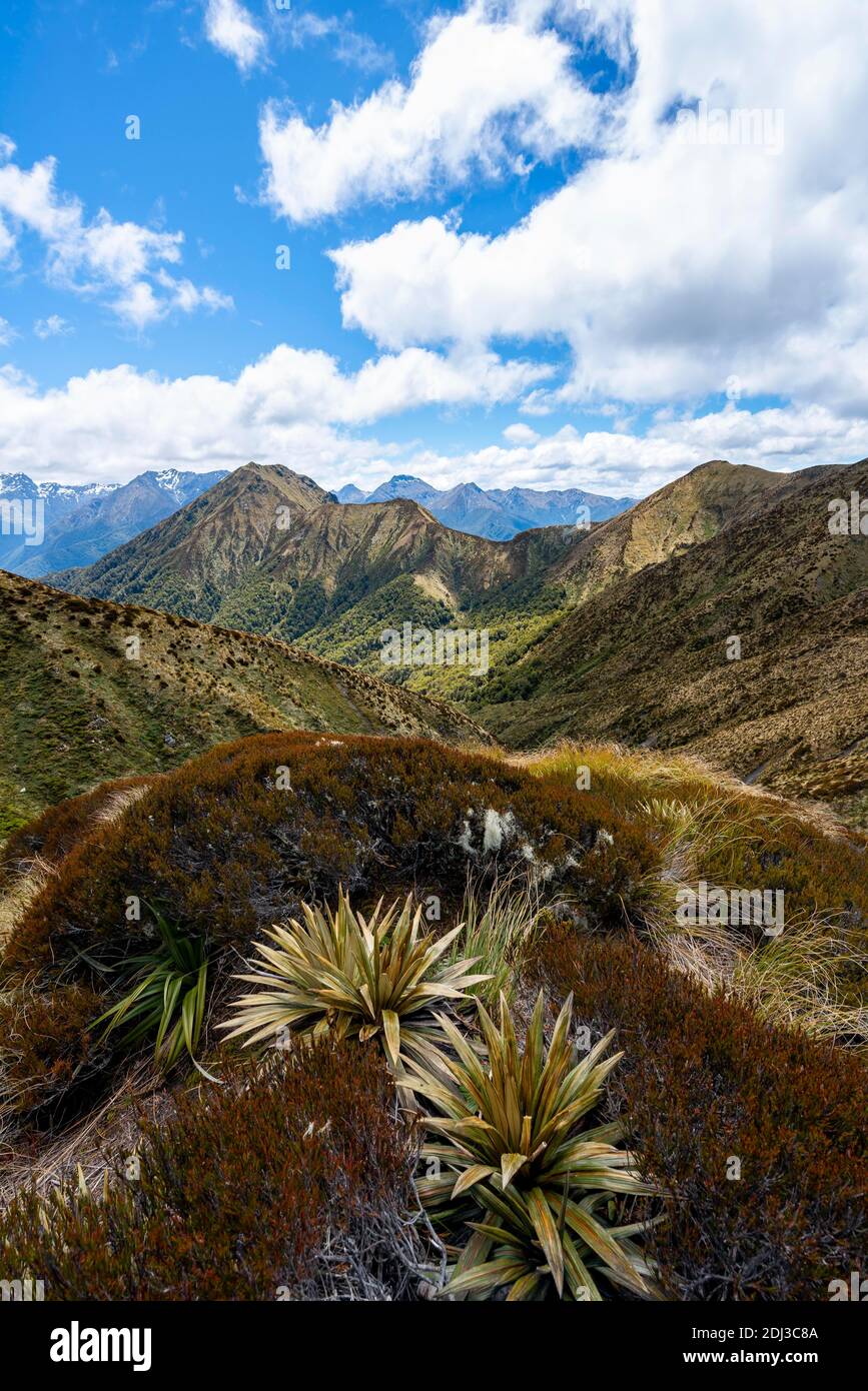 View of Murchison Mountains and Kepler Mountains, from the Kepler Track, Great Walk, Fiordland National Park, Southland, New Zealand Stock Photo