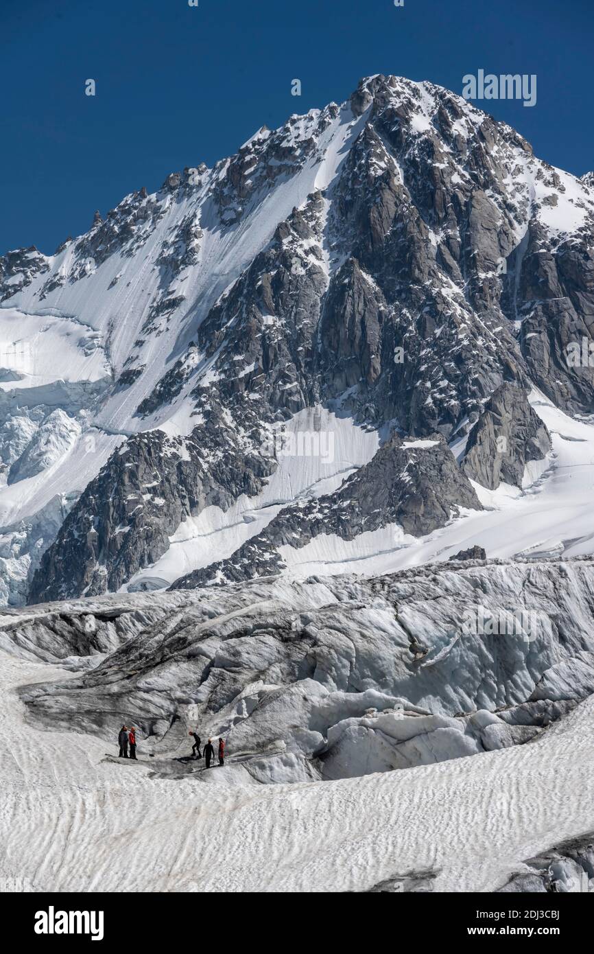 Mountaineer on Glacier du Tour, glaciers and mountain peaks, high alpine landscape, summit of Aiguille de Chardonnet, Chamonix, Haute-Savoie, France Stock Photo