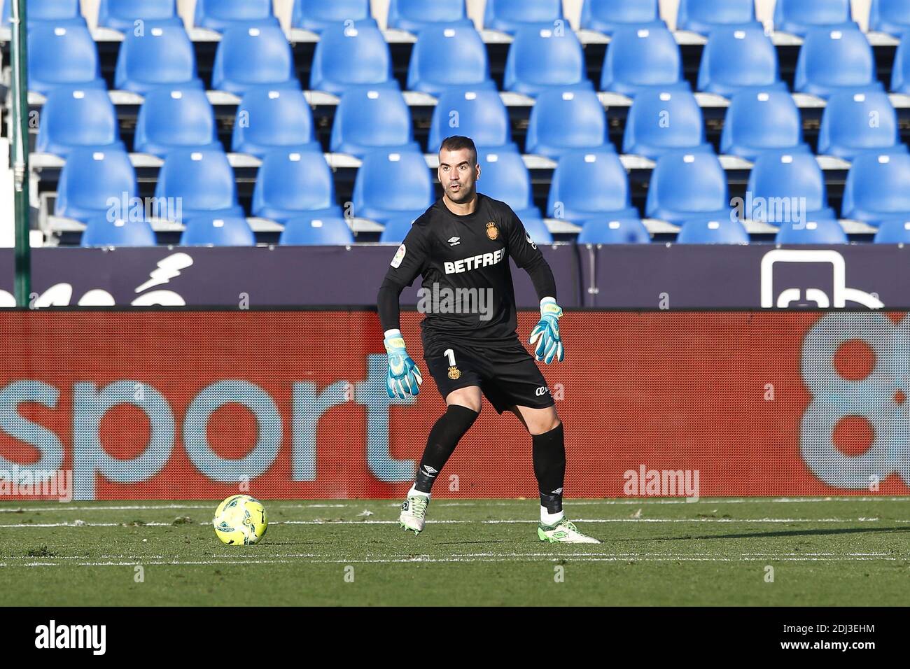 Manolo Reina High Resolution Stock Photography And Images Alamy Manolo Reina High Resolution Stock Photography And Images Alamy