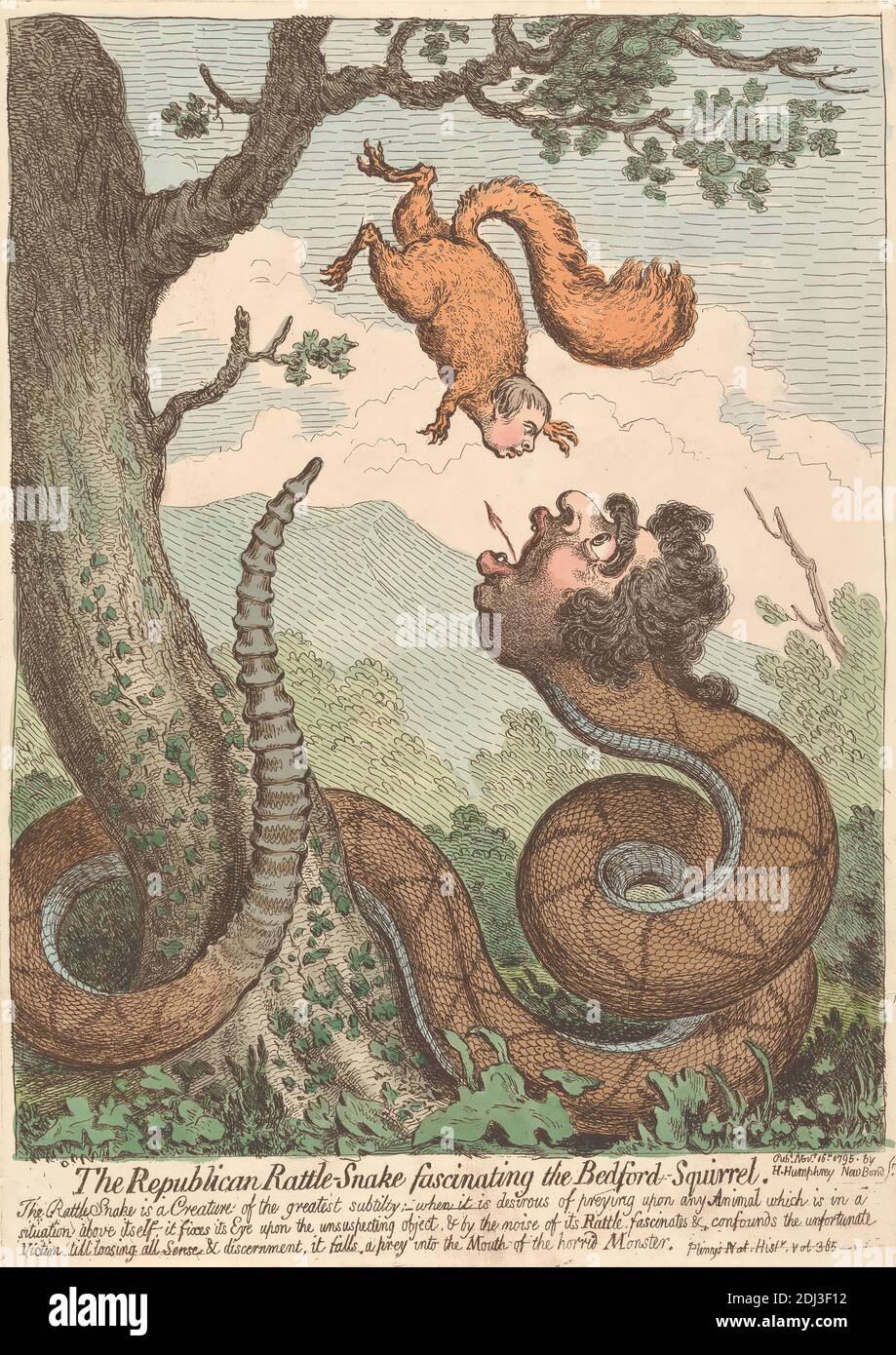 The Republican Rattle-Snake Fascinating the Bedford-Squirrel ---, James Gillray, 1757–1815, British, 1795, Etching, hand-colored, Sheet: 12 1/2 x 8 1/4in. (31.8 x 21cm Stock Photo