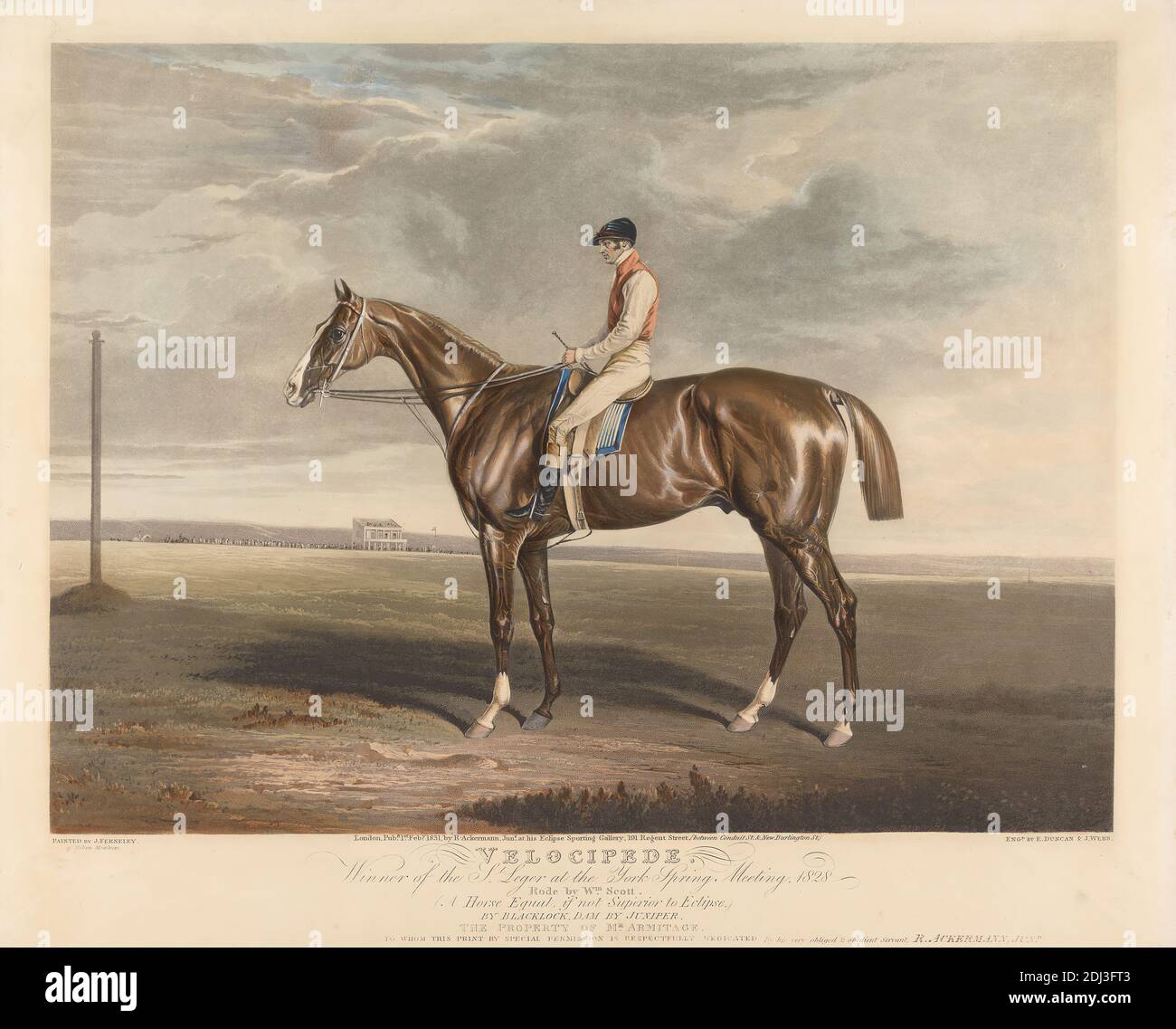 Velocipede. Winner of the St. Leger at the York Spring Meeting. 1828, Edward Duncan, 1803–1882, British, And John Webb, active 1830–1840, after John Ferneley, 1782–1860, British, 1828, Aquatint, hand-colored, Sheet: 12 1/4 x 16 1/2in. (31.1 x 41.9cm Stock Photo
