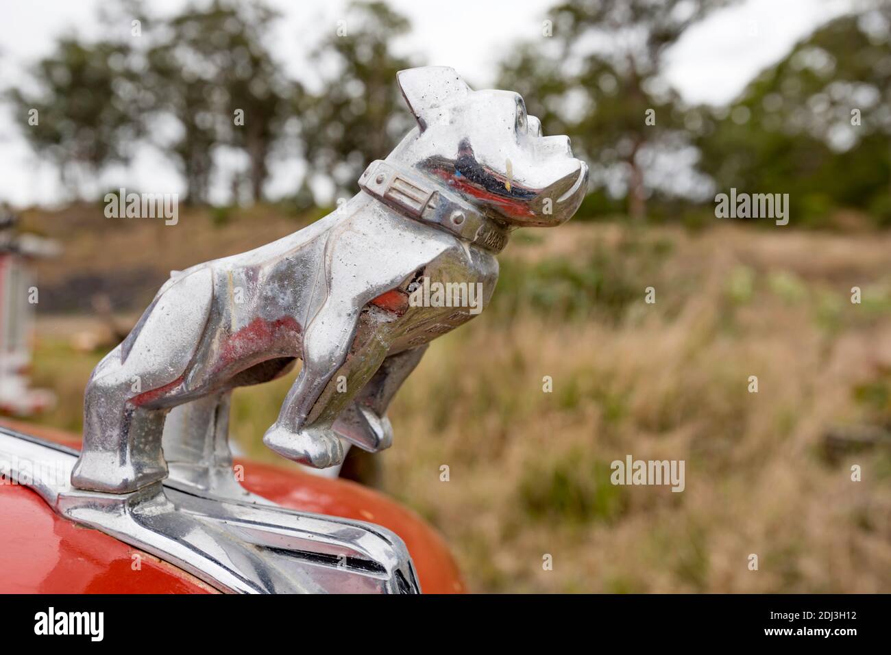 A Slightly Weathered Chromed Mack Bulldog Hood Ornament On The Front Of A 1942 Mack Fire Engine Truck The Bulldog Has Been A Mack Feature Since 1917 Stock Photo Alamy