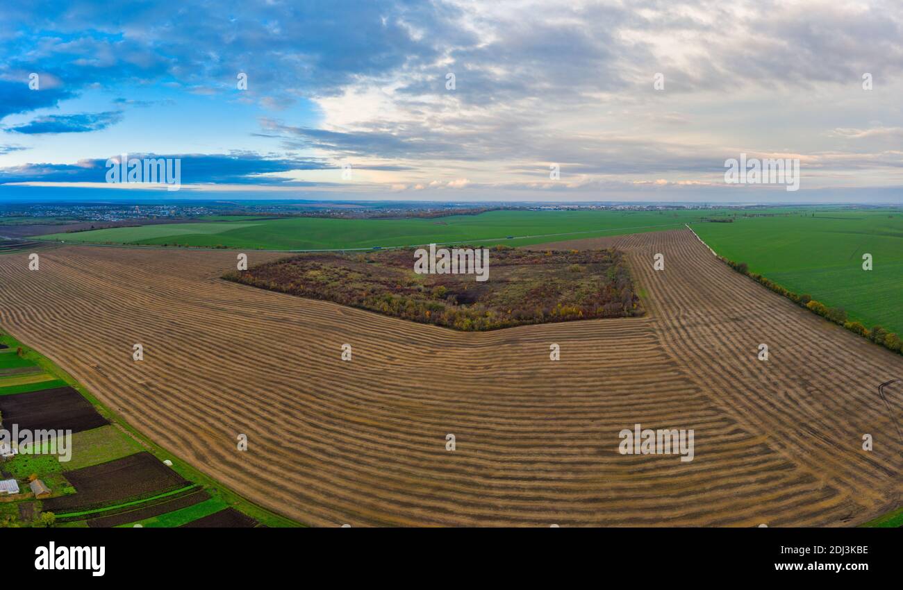 Flying above wheat field sunset hi-res stock photography and images - Alamy