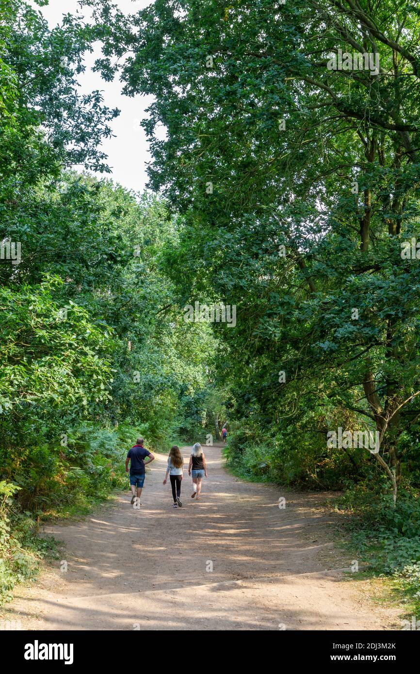 General view of people walking through the trees of Sherwood Forest, mythical home of Robin Hood and his Merry Men, Nottinghamshire, UK. Stock Photo