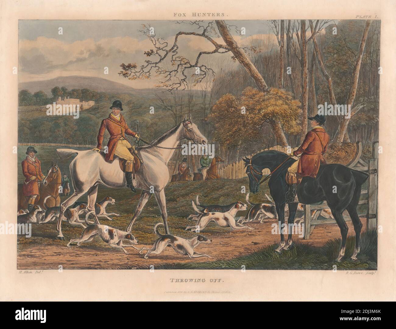 Fox 32 hi res stock photography and images Page 3 Alamy
