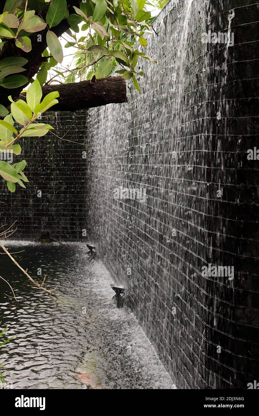 Picture of a wall with a waterfall flowing down all the time. Causing green moss to grow all over. With leaves in the foreground. Vertical photo. Stock Photo