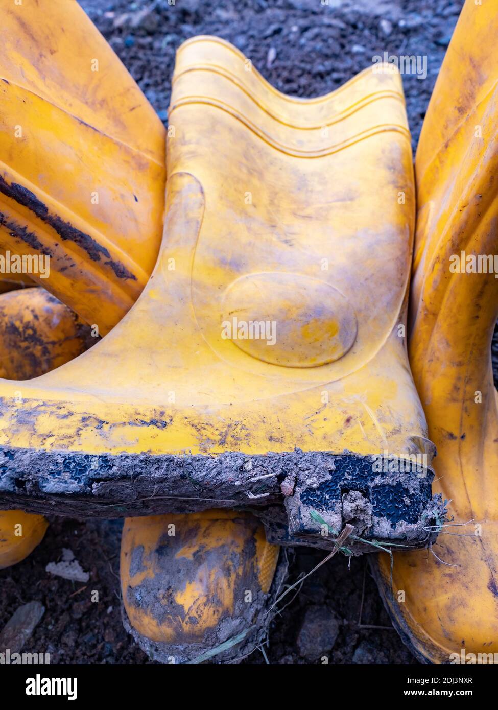Hard working yellow rubber boots covered in dirt. Wet clay boots for