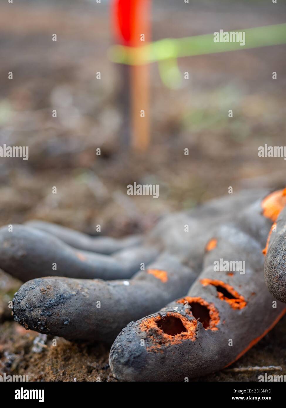 Work glove with three holes on the index finger lie on damp clay