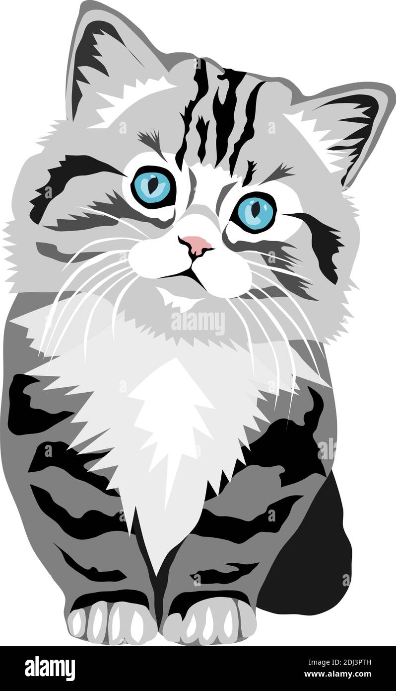 Vector of a cute kitten isolated on white background Stock Vector Image ...