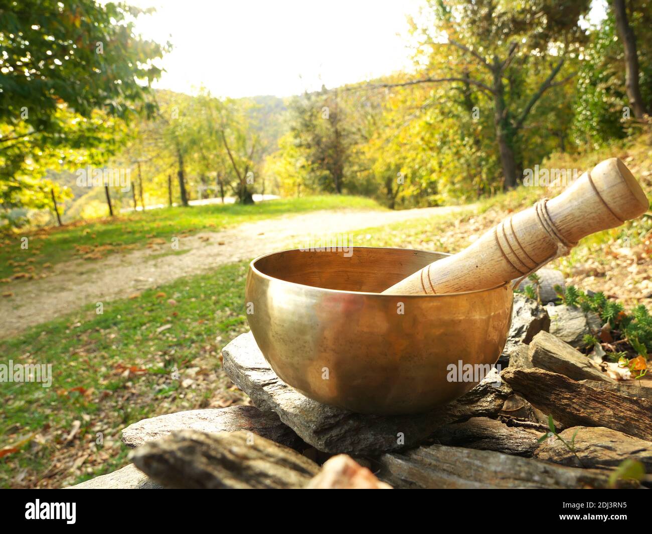 Singing bowl placed on pebbles with nature in the background Stock Photo