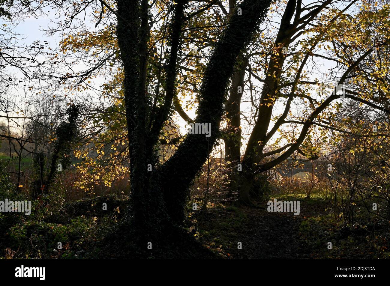 Foots Cray Meadows, Sidcup, Kent. UK Stock Photo