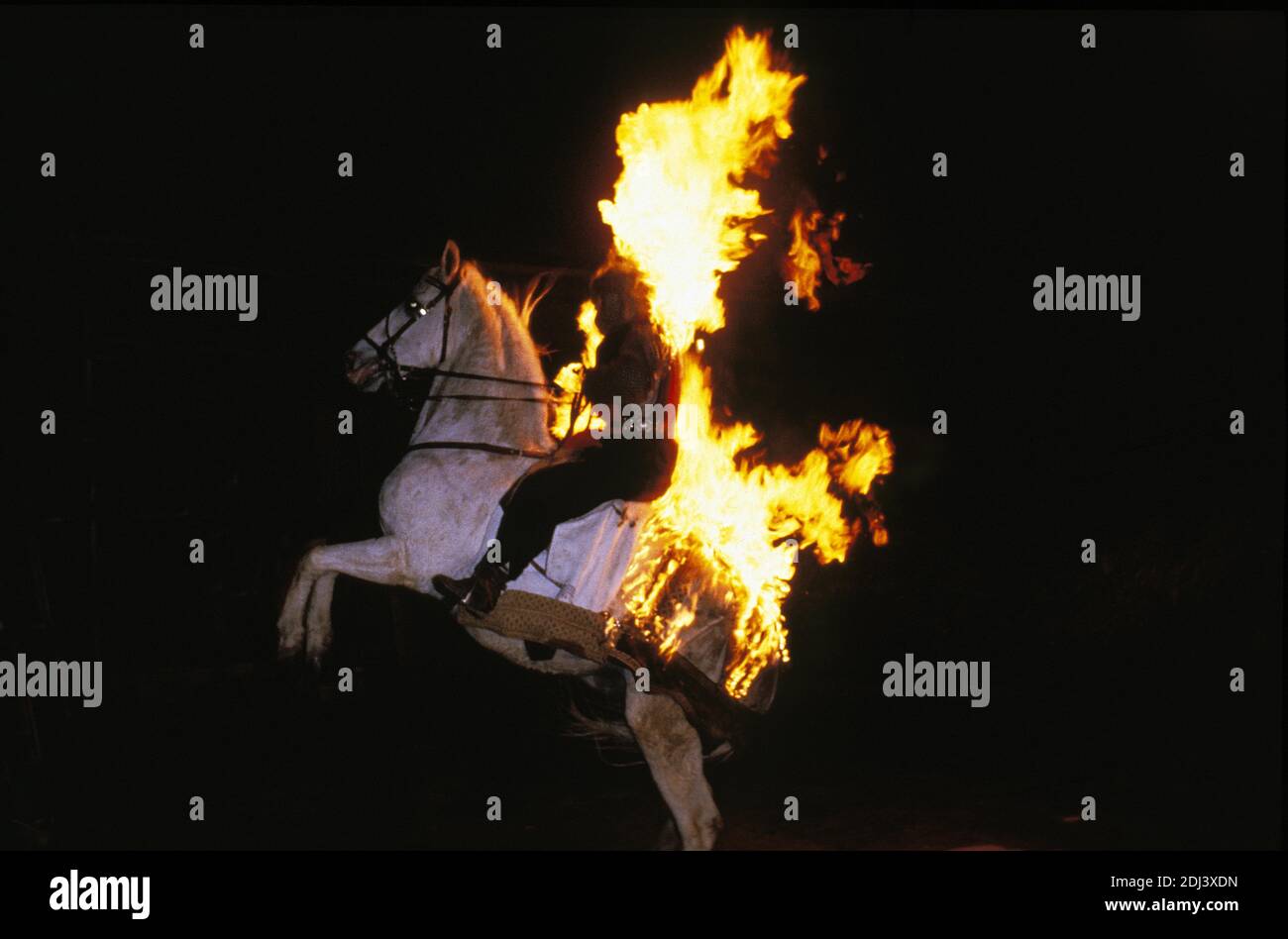 Mario Luraschi Stunt and Horse Show Stock Photo