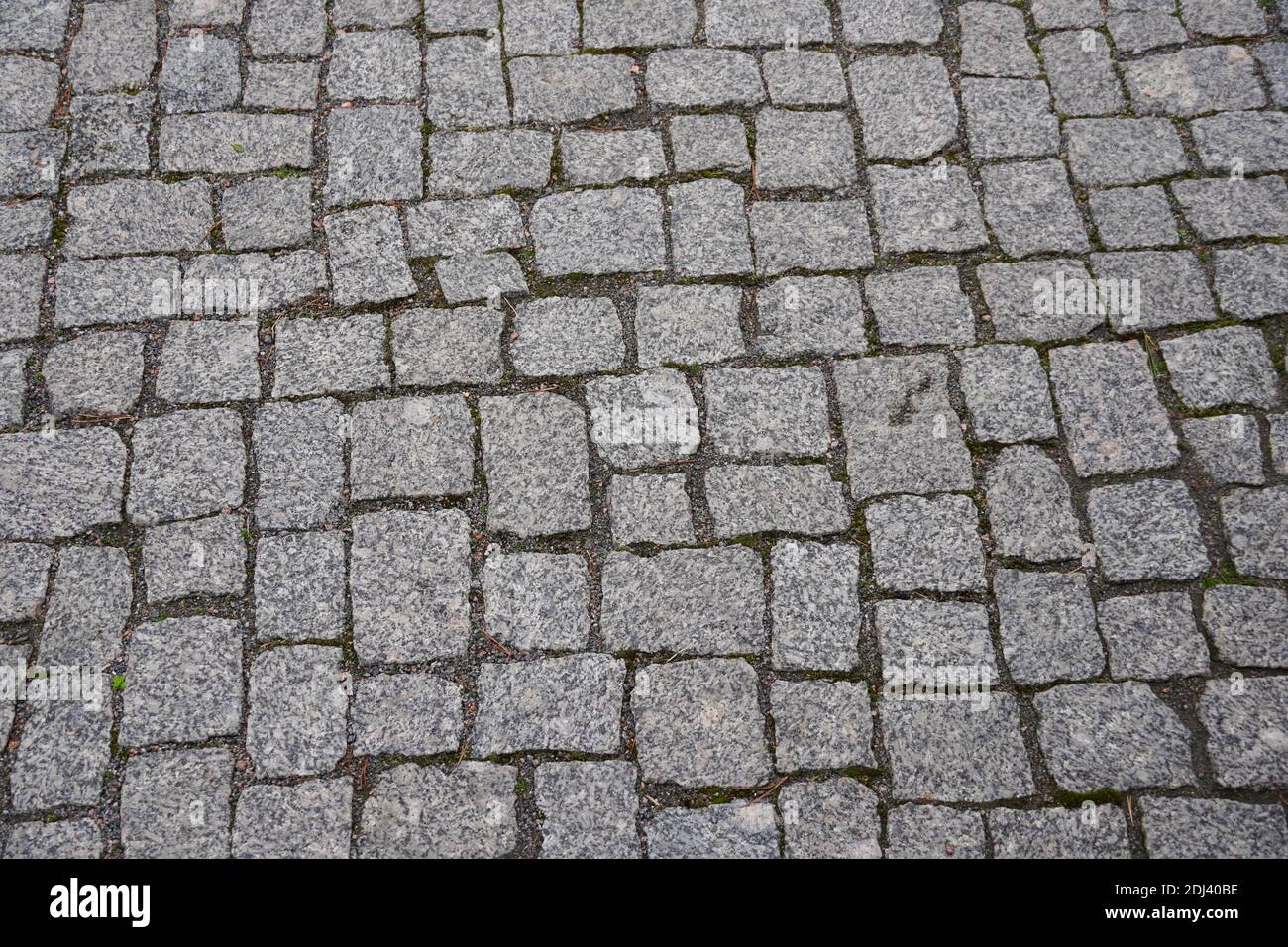 Old gray pavement in historical city centre Stock Photo