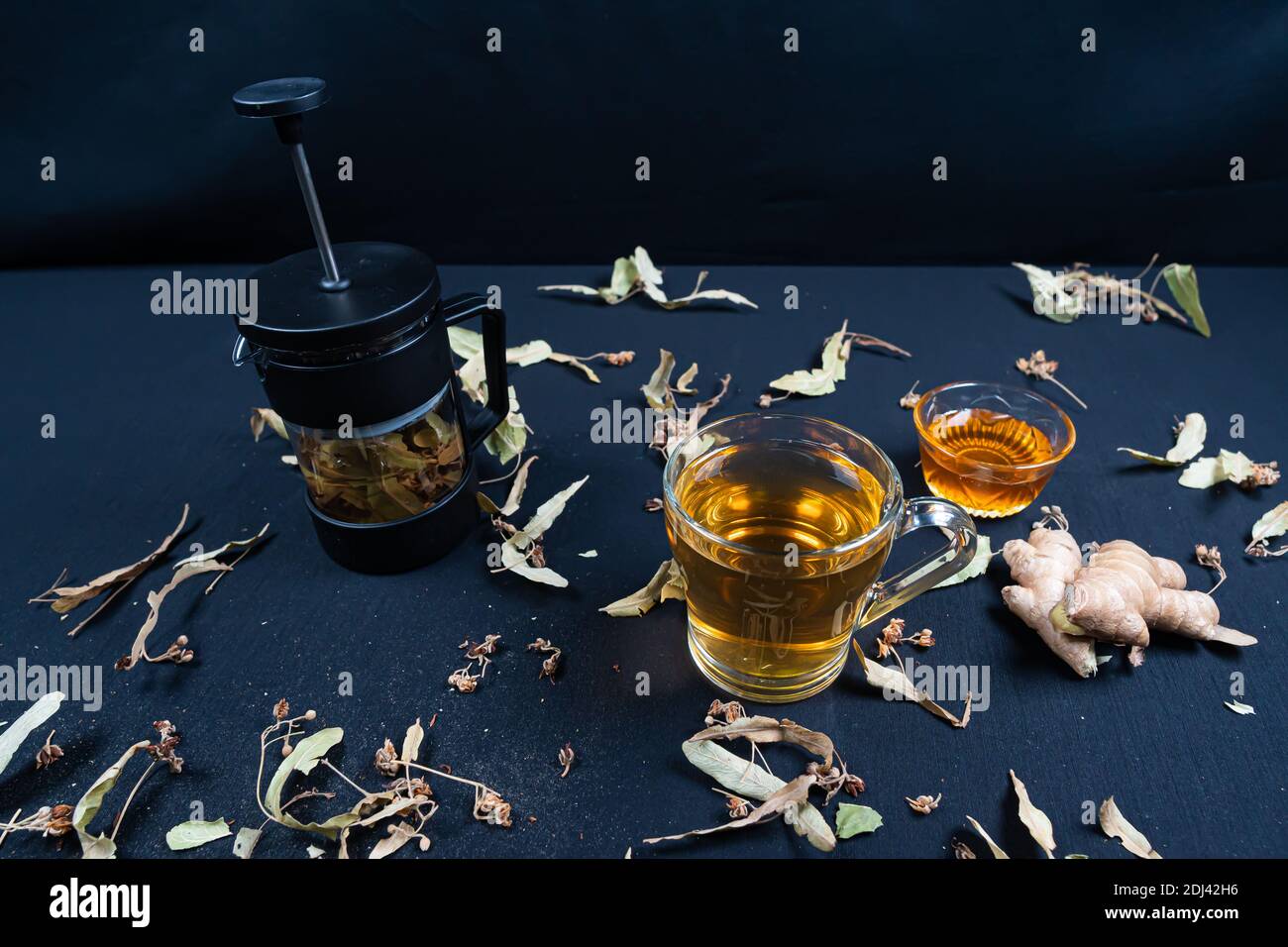 French press and herbal tea, on black background among dry leaves Stock
