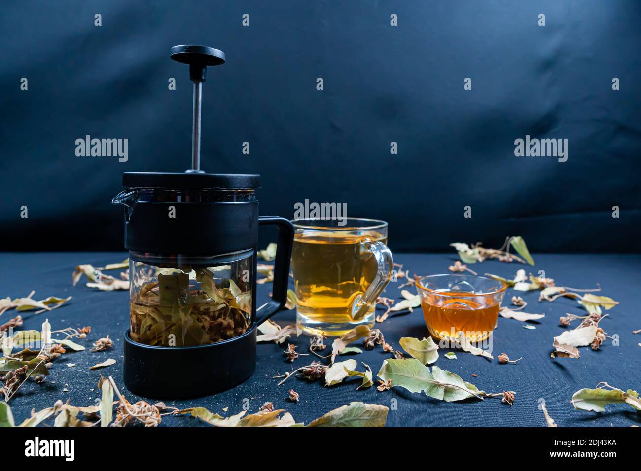 Cardamom plant tree hires stock photography and images Alamy