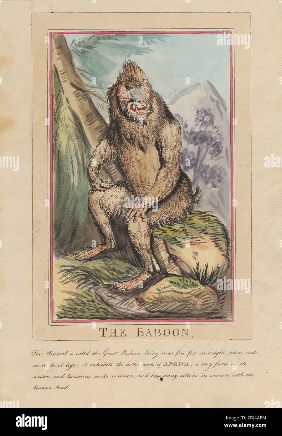 Charles Catton The Elder High Resolution Stock Photography and Images ...