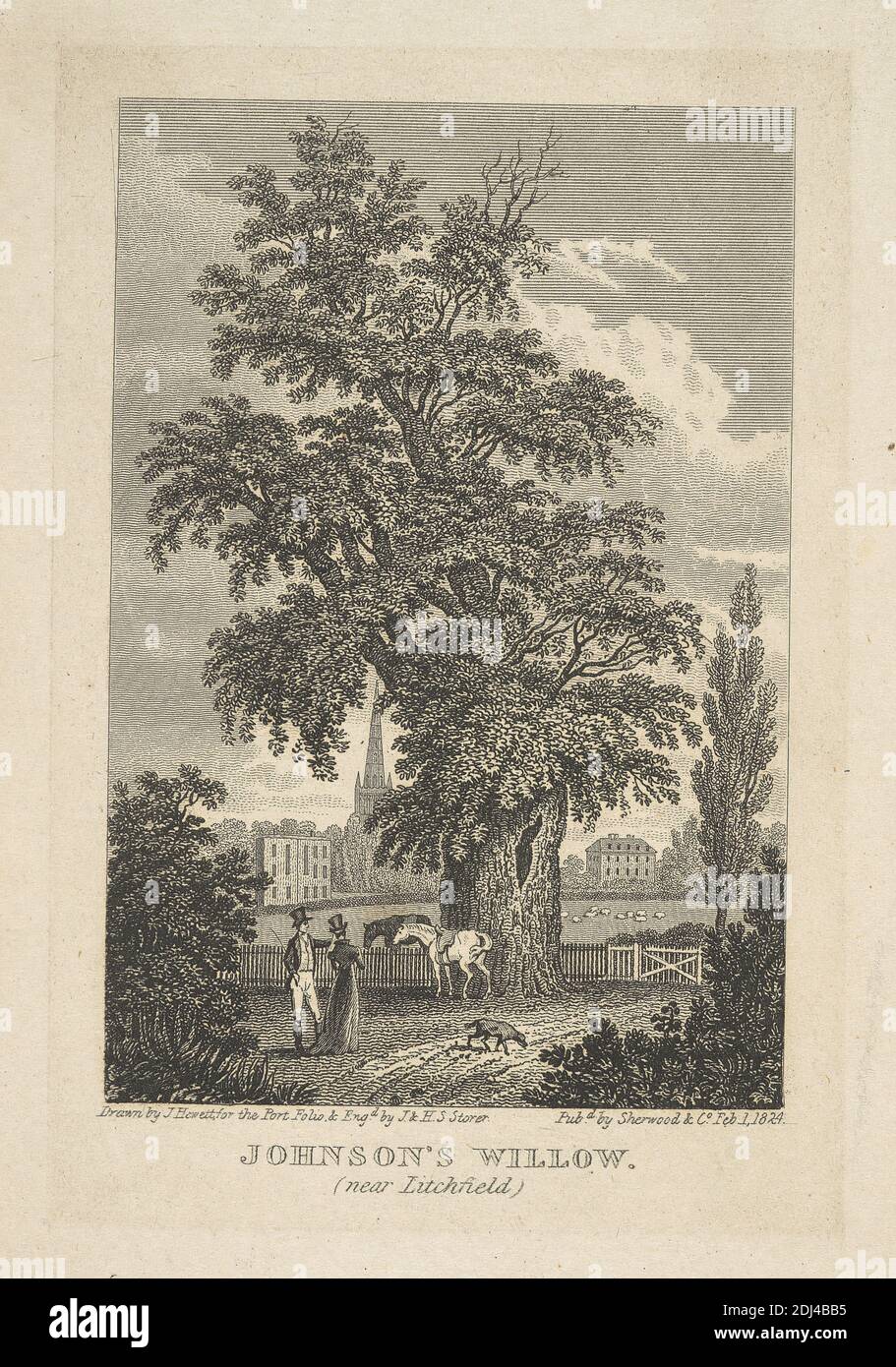 Johnson's Willow, James S. Storer, 1771–1853, British, And Henry S. Storer, 1795–1837, British, after unknown artist, ( Hewitt, J. ), undated, Engraving, Sheet: 6 1/2 x 4 1/8in. (16.5 x 10.5cm Stock Photo